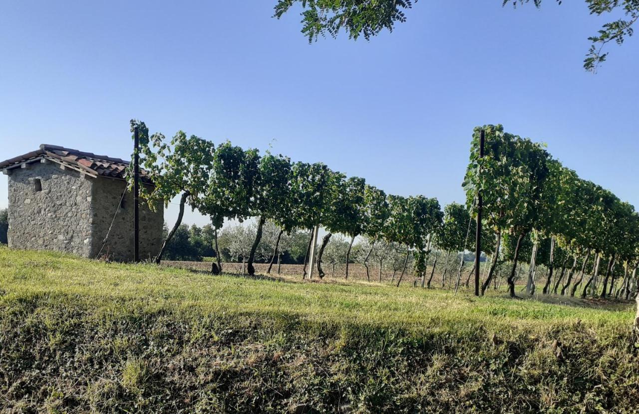 Paderno Franciacorta Vicolo Del Nido B&B מראה חיצוני תמונה