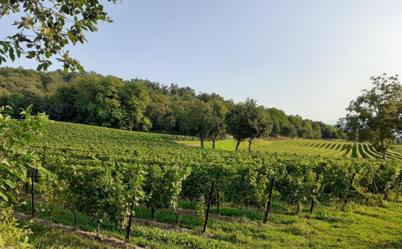 Paderno Franciacorta Vicolo Del Nido B&B מראה חיצוני תמונה