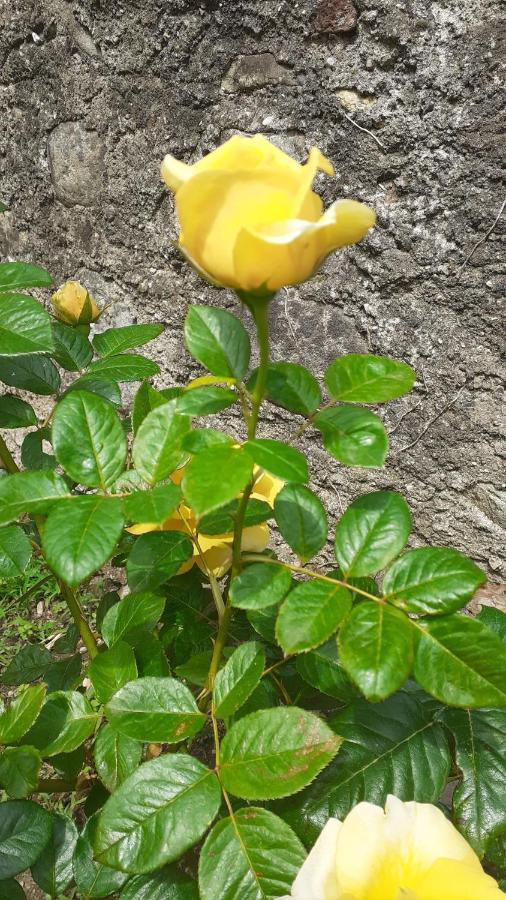 Paderno Franciacorta Vicolo Del Nido B&B מראה חיצוני תמונה